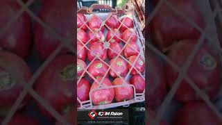 Gala Apple (Sib) - Yekta Persian Market & Kabob Counter