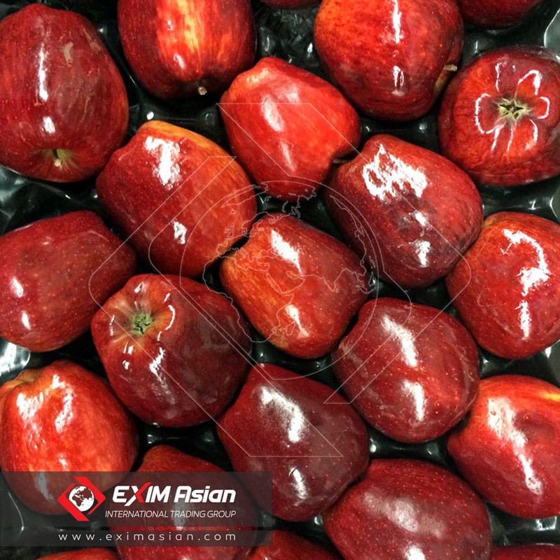 Red Delicious Apples Close Up EXIM Asian