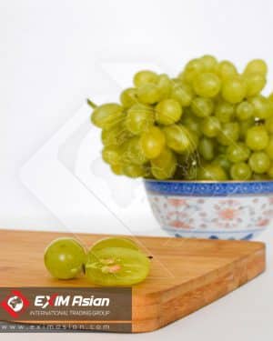 Green Grape ( White grape ) EXIM Asian