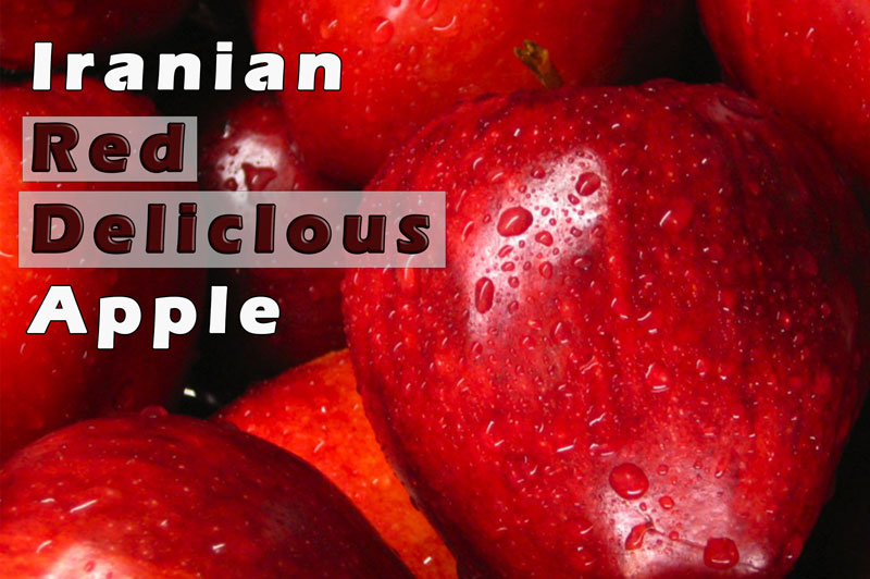 Iran Red Delicious apple EXIM Asian