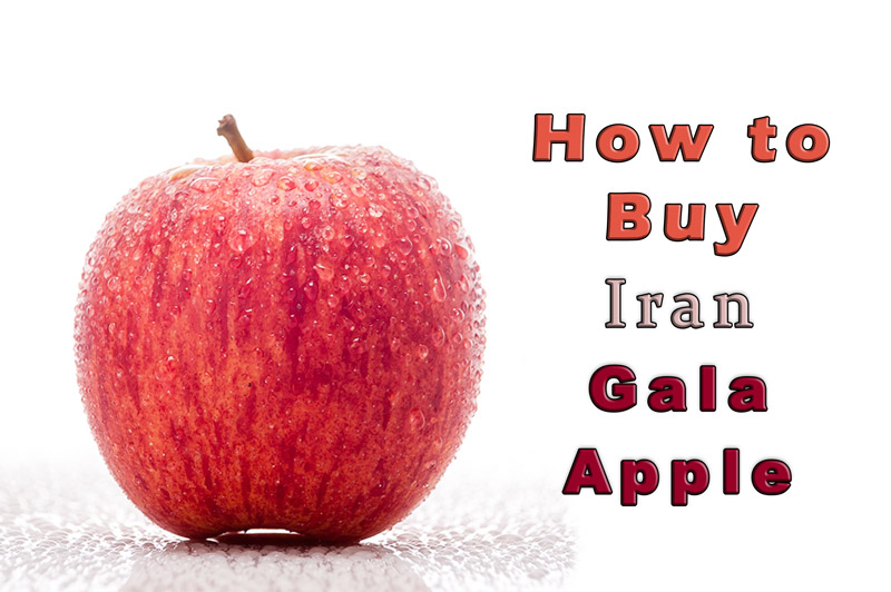 Iran Royal Gala Apple