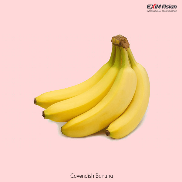 Cavendish banana EXIM Asian