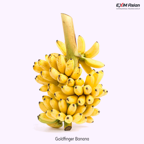 Goldfinger Bananas EXIM Asian