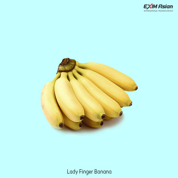Lady Finger Banana EXIM Asian