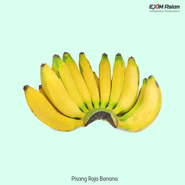 Pisang Raja bananas EXIM Asian