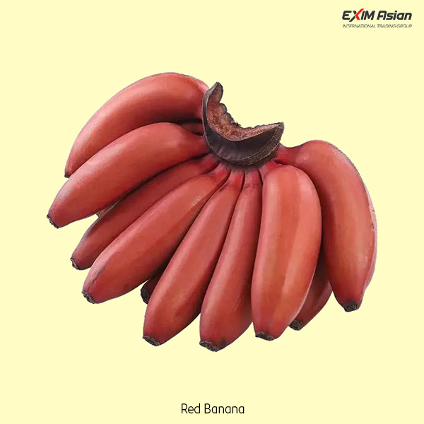 Red banana EXIM Asian