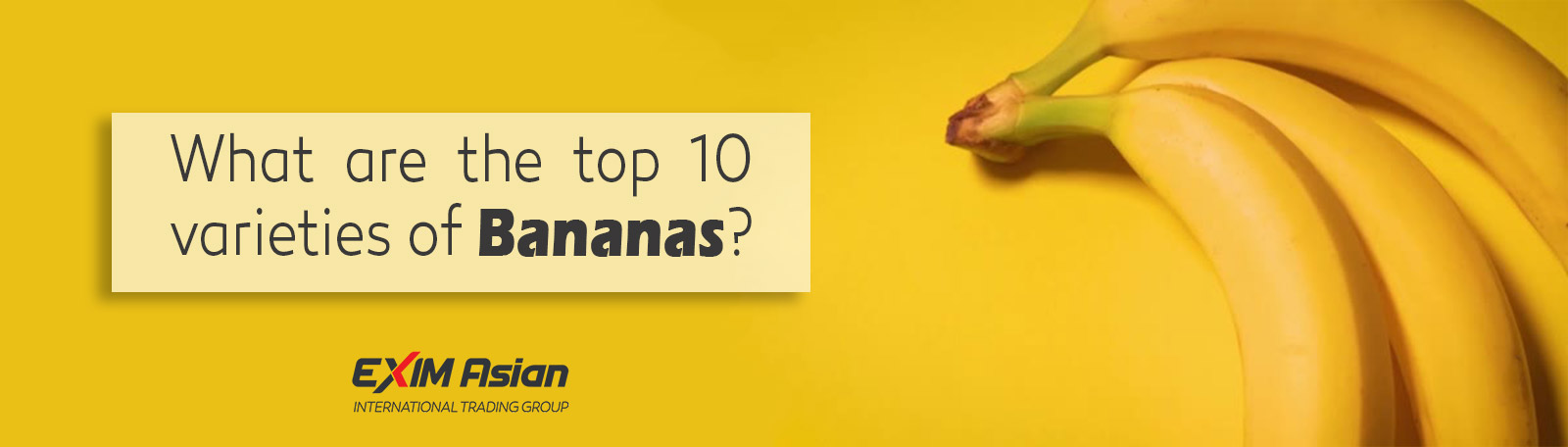 Top 10 Types of Bananas exim asian