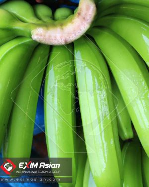 Import banana exim asian