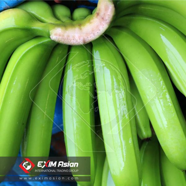 Import banana exim asian