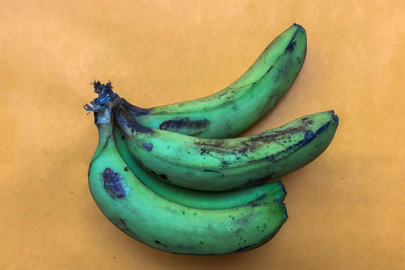 Bungulan Banana exim asian