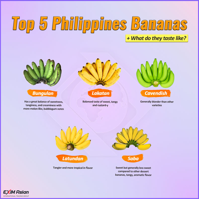 Top five Philippines bananas EXIM Asian