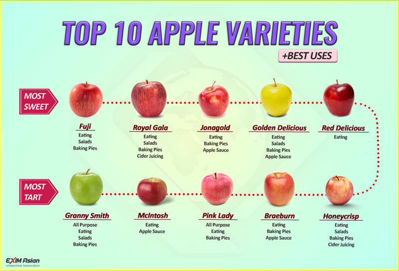 Top ten varieties of apple fruit exim asian