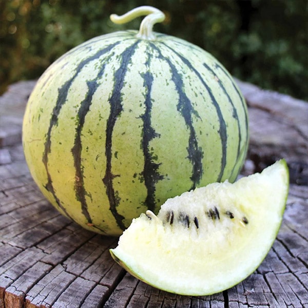 Cream of Saskatchewan watermelon exim asian